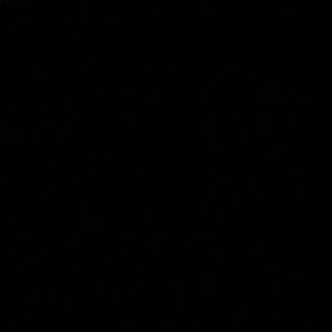 Meet your Posher, Diego